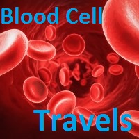Blood Cell Travels